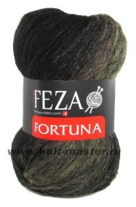 Feza Fortuna